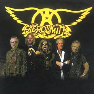 Aerosmith 2012 “Global Warming” Tour T-shirt